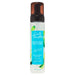 Carol's Daughter Wash Day Delight Hair Gel to Foam Styler Aloe, 8.5 Oz.
