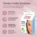 Godefroy Instant Eyebrow Tint, 3 Applications, Natural Black