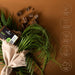 Ashanti Naturals African Black Soap Bar Lemongrass 4 Oz.