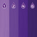 Crazy Color Power Pigment Drops, Purple, 1.1oz