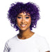 CHI Chroma Paint Hair Color, Purple Blitz, 4 oz