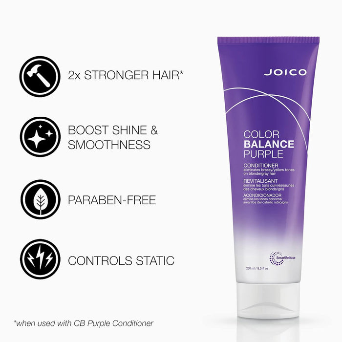 Joico Color Balance Purple Holiday Duo, Shampoo, Conditioner Set