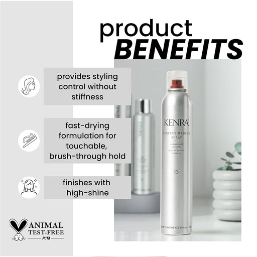 KENRA Perfect Medium Hold Hair Spray, 13, 10 oz
