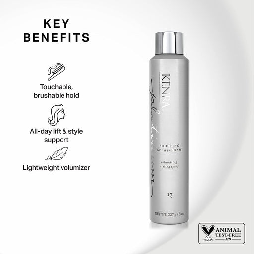 KENRA Platinum Boosting Hair Spray Foam,17, 8 oz