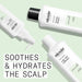 NIOXIN Scalp Relief KIT