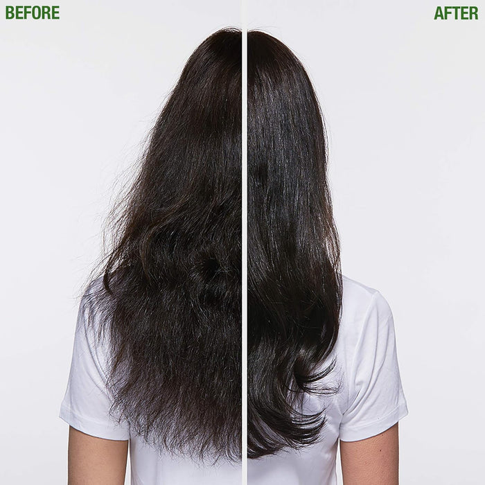 Matrix Biolage Fiberstrong Shampoo 13.5 Oz.
