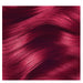 Adore Semi Permanent Hair Color,Wild Cherry,69