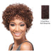 Human Hair Wig - HH Franciel,Streaked Blend Of Deep Wine And Dark Violet
