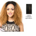 Synthetic Half Wig Asta,Off black base with light auburn highlights