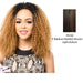 Synthetic Half Wig Asta,Medium brown base with light auburn highlights