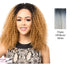 Synthetic Half Wig Asta,Off black roots with white