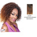Synthetic Half Wig Ali,Two tone frost blend of dark auburn layer over dark honey blonde bottom