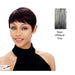 Synthetic Short Layered Pixie Cut Style Full Cap Wig Bebe,Two tone mix of off black with 50% gray roots with gray tips