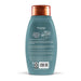 Aveeno Scalp Soothing Rose Water and Chamomile Blend Shampoo, 12 Oz.