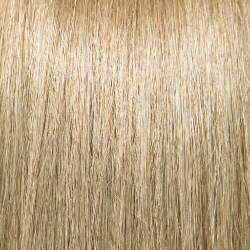 Pravana ChromaSilk Creme Hair Color,Extra Light Blond,10N