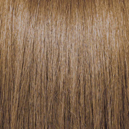 Pravana ChromaSilk Creme Hair Color,Light Neutral Lowlight, 8NTL, 3 oz