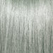 Pravana ChromaSilk Vivid Semi Permanent,Smokey Silver, 3 oz
