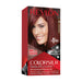 Revlon Colorsilk Beautiful Color Permanent Hair Color 49 Auburn Brown
