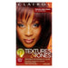 Textures & Tones Permanent Moisture Rich Haircolor, 3RV Plum